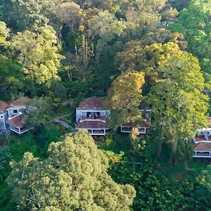 the-tall-trees.hotels-munnar.com/